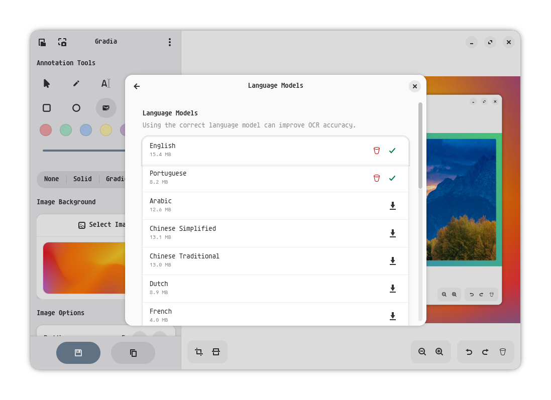 Interface do programa